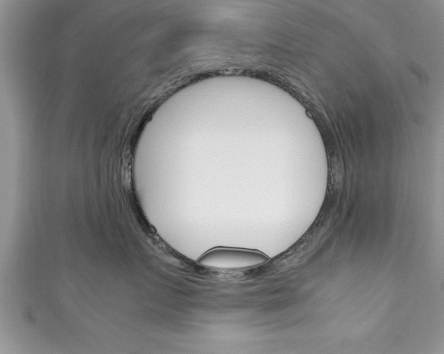 X0000111190719200907011009