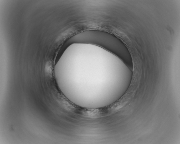 X0000111190720200907011009