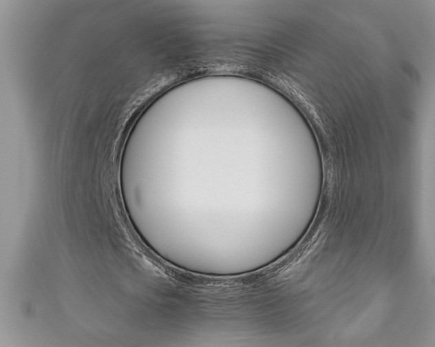 X0000111190721200907011008