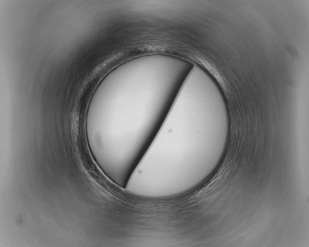 X0000111190722200907011008