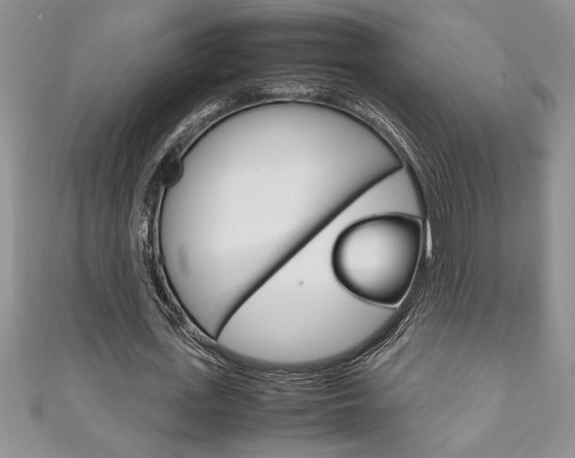 X0000111190723200907011008