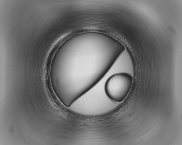X0000111190724200907011008