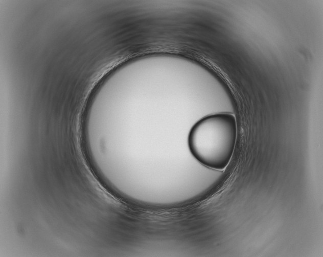 X0000111190725200907011008