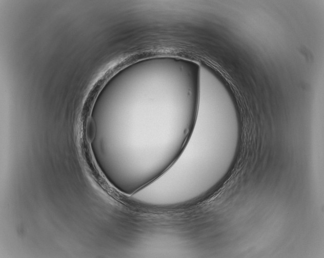 X0000111190726200907011008