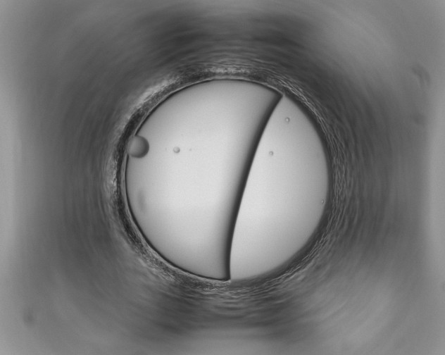 X0000111190727200907011008