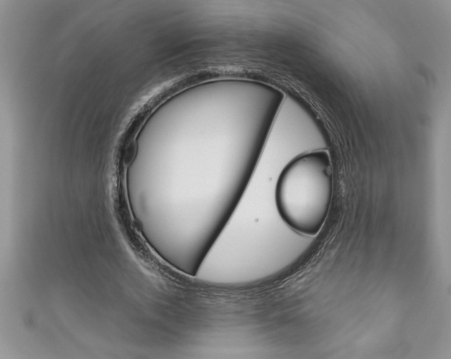 X0000111190728200907011008