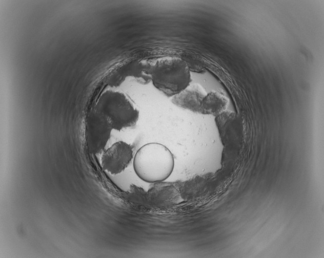 X0000111190729200907011008