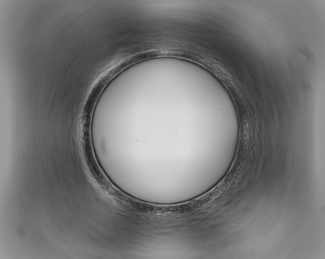 X0000111190730200907011008