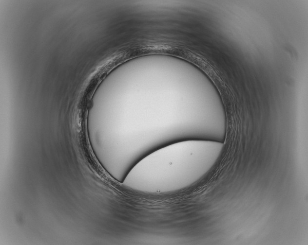 X0000111190731200907011008