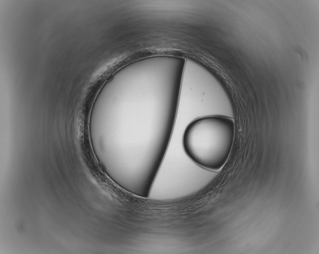 X0000111190732200907011008