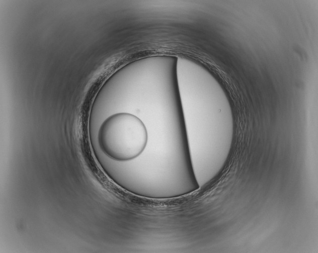 X0000111190734200907011008