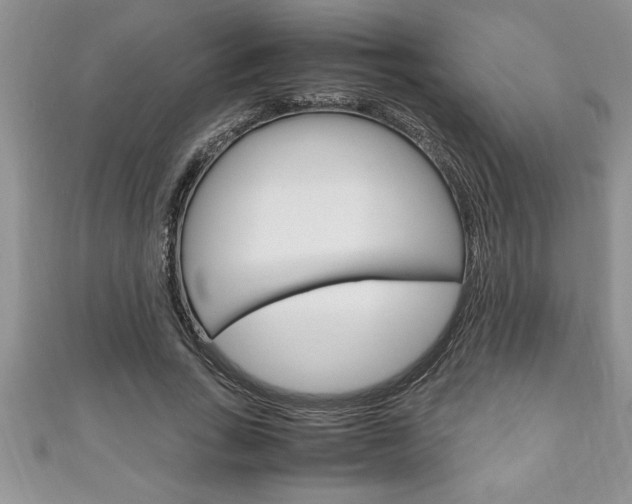 X0000111190735200907011008