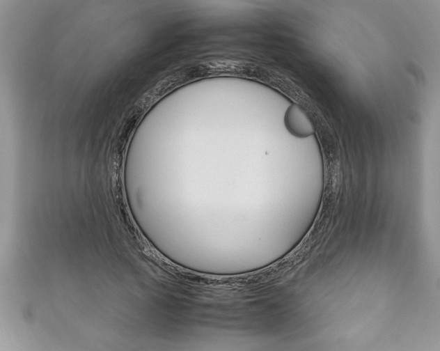 X0000111190737200907011008