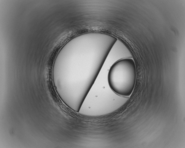 X0000111190738200907011008