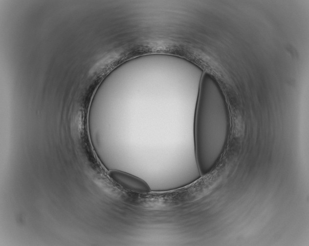 X0000111190740200907011008