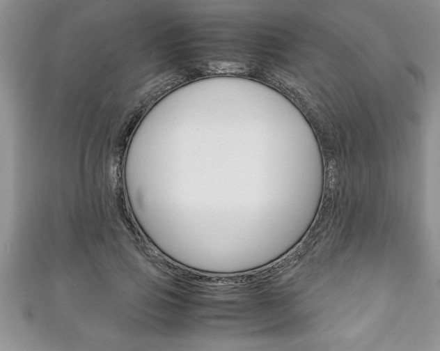 X0000111190741200907011008