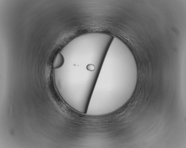 X0000111190742200907011008