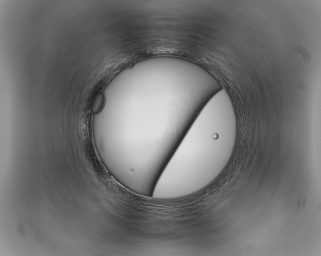 X0000111190743200907011008