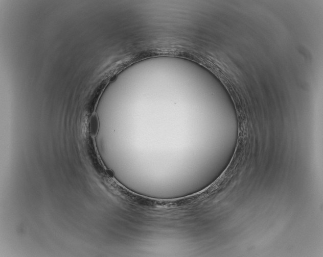 X0000111190744200907011008