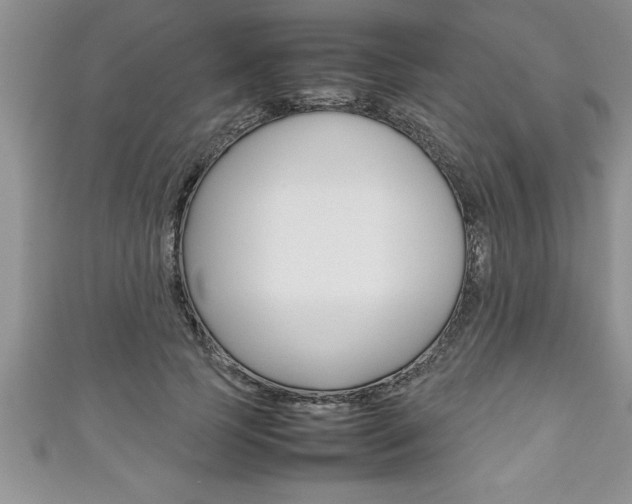 X0000111190745200907011009