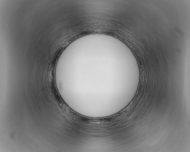 X0000111190746200907011009