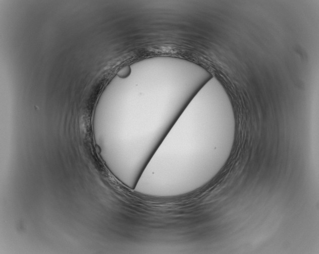 X0000111190747200907011009
