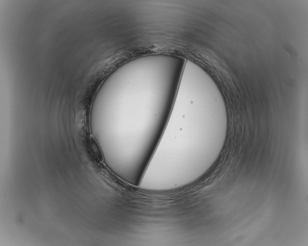 X0000111190748200907011009