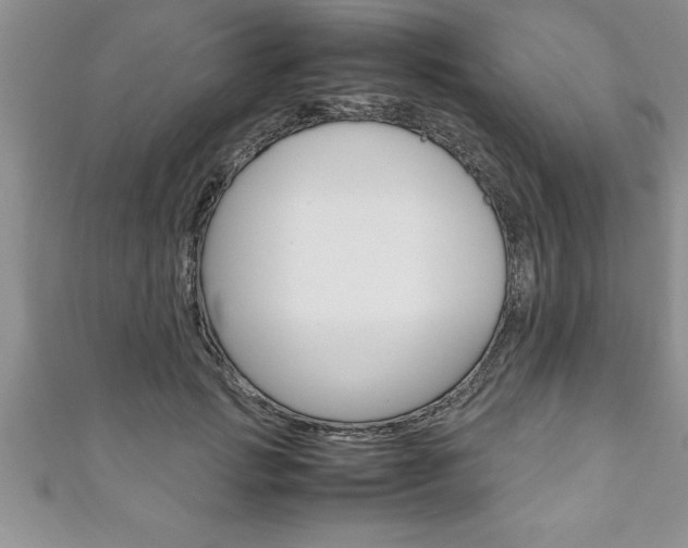 X0000111190749200907011009