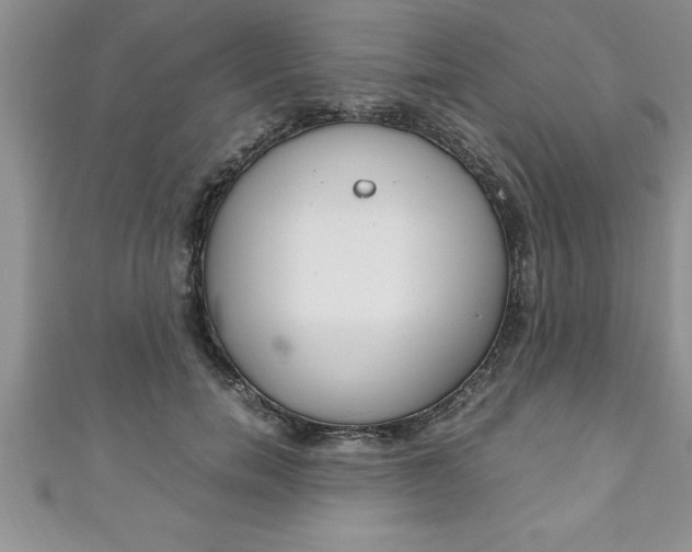 X0000111190750200907011009