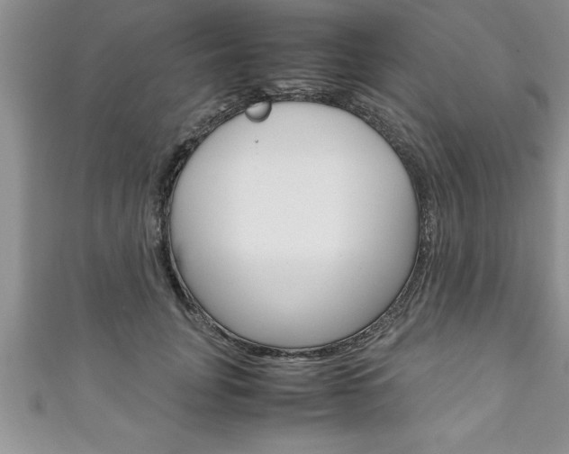 X0000111190751200907011009
