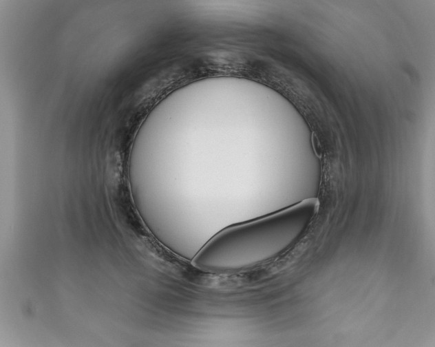 X0000111190752200907011009