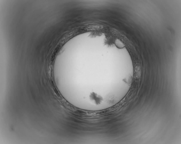 X0000111190753200907011009