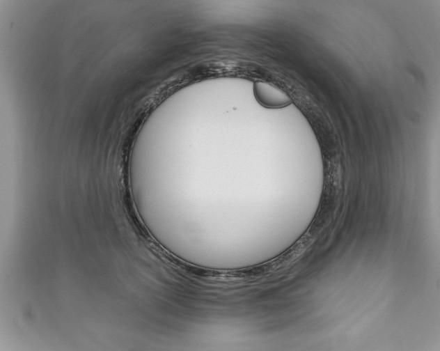 X0000111190754200907011009