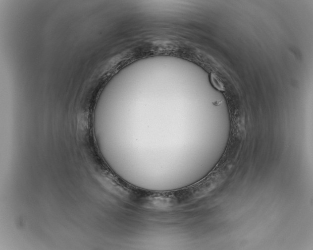 X0000111190756200907011009