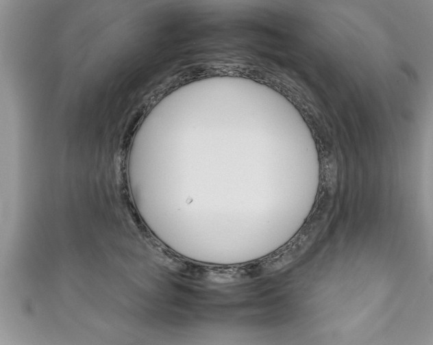 X0000111190757200907011009
