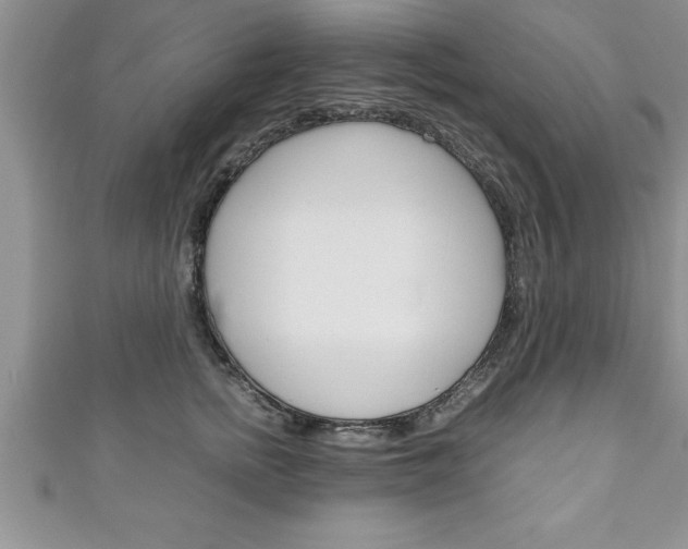 X0000111190758200907011009