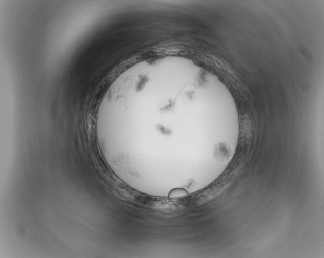 X0000111190761200907011009