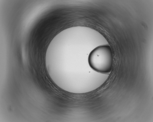X0000111190762200907011009