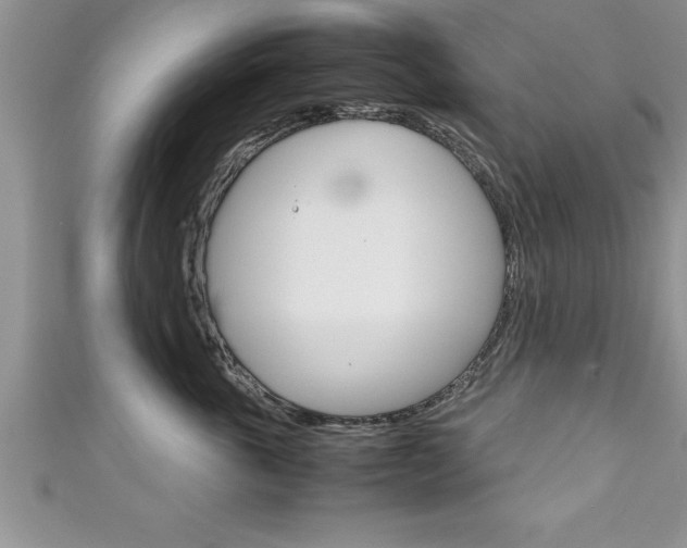 X0000111190763200907011009