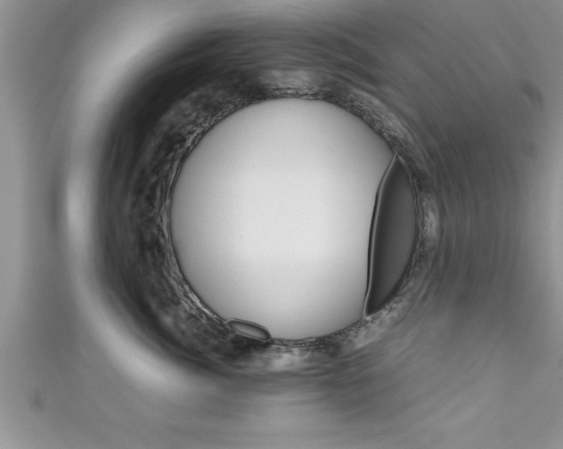 X0000111190764200907011009