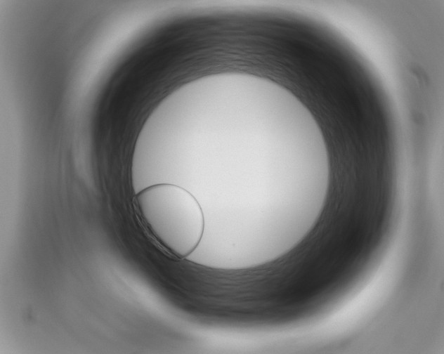 X0000111190766200907011009