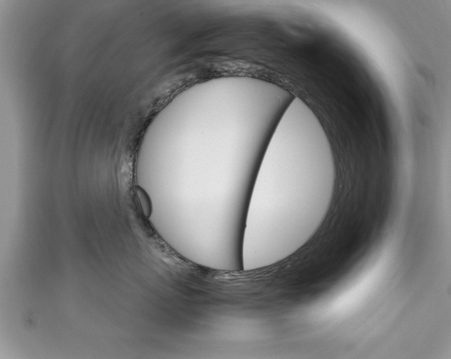 X0000111190767200907011009