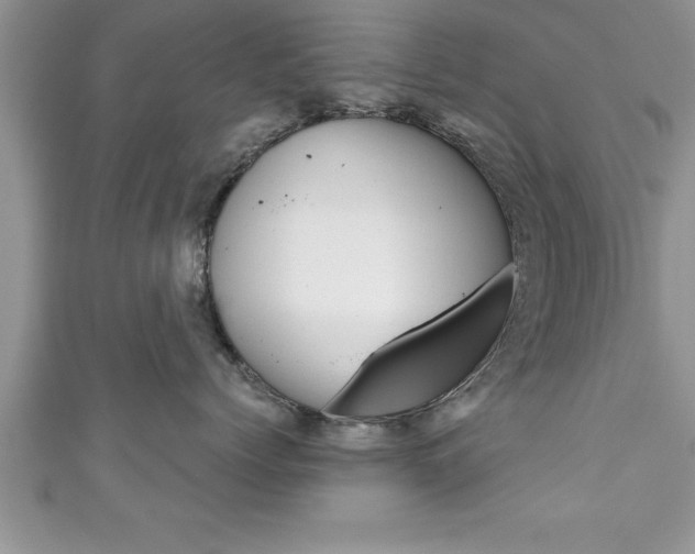 X0000111190768200907011009