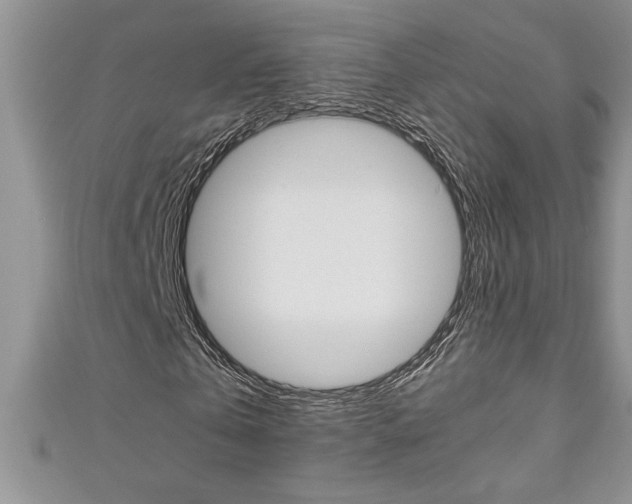 X0000111190769200907011008