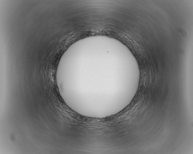 X0000111190770200907011008