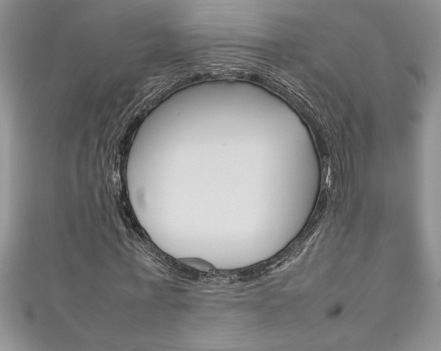 X0000111190771200907011008