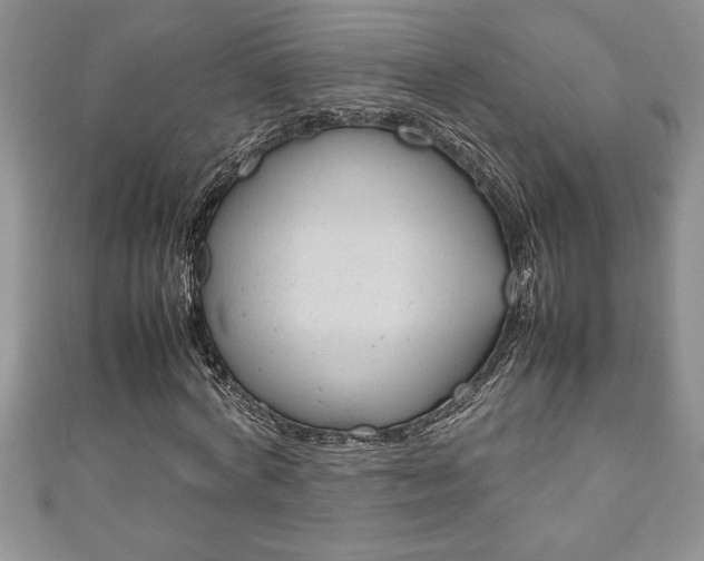 X0000111190772200907011008