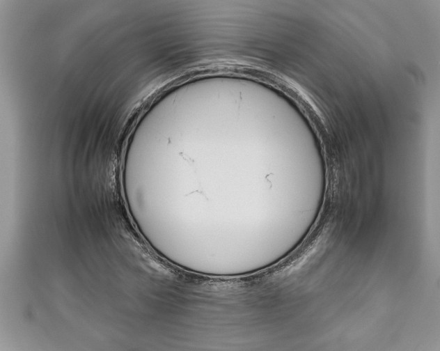 X0000111190778200907011008