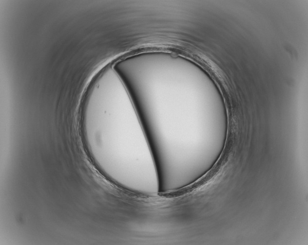 X0000111190779200907011008