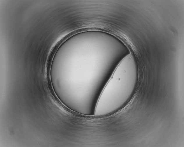 X0000111190780200907011008